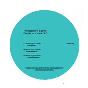 Обложка для Transparent Sound - What Is Your Name?