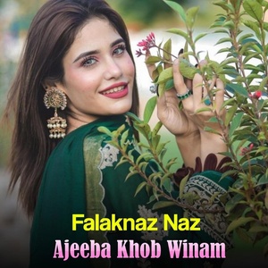 Обложка для Falaknaz Naz - Ajeeba Khob Winam