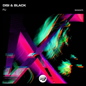 Обложка для DISI & BLACK - Fu