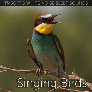 Обложка для Tmsoft's White Noise Sleep Sounds - Singing Birds Sound