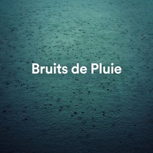 Обложка для Bruits de Pluie - Pluie Tombant Sur La Mer