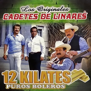 Обложка для Los Cadetes De Linares - Una Página Más