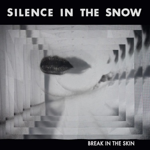 Обложка для Silence In The Snow - Into the Night