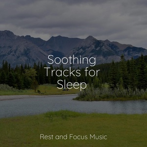 Обложка для Wellness, Zarobi, Sleepy Times - Sanctuary of Sleep