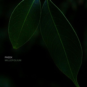 Обложка для Pheek - Bloodroot