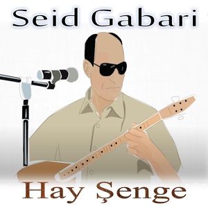 Обложка для Seid Gabari - Gülizar