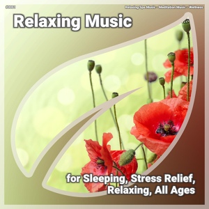 Обложка для Relaxing Spa Music, Meditation Music, Wellness - Relaxing Music, Pt. 16
