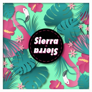 Обложка для Sierra - Sierra Sierra Latin House