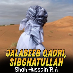 Обложка для Jalabeeb Qadri, Sibghatullah - Shah Hussain R.A