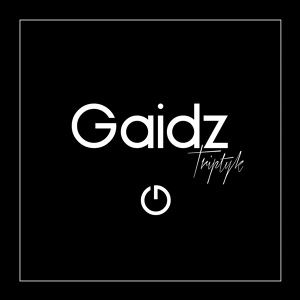 Обложка для Gaidz - Distorted