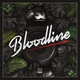 Обложка для Shiny Radio - Bloodline