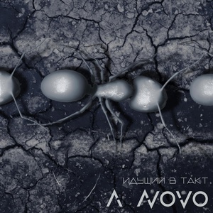Обложка для A NOVO - Снова