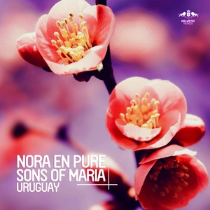 Обложка для Nora En Pure & Sons Of Maria - Uruguay