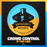 Обложка для Crowd Control - If You Like (Lux Experience Remix)