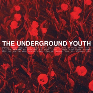 Обложка для The Underground Youth - Vergiss Mich Nicht