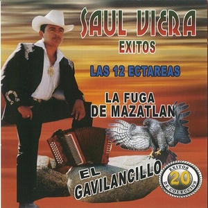 Обложка для Saul Viera El Gavilancillo - El Gato Negro