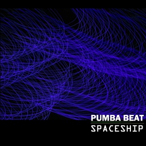 Обложка для Pumba Beat - Purple Mood