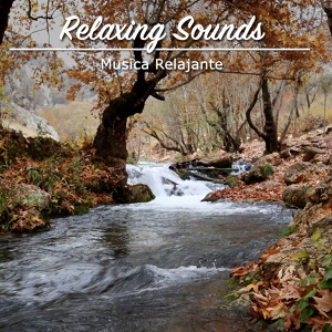 Обложка для Musica Relajante, Relaxing Sounds of Nature White Noise for Mindfulness Meditation Relaxation Music Club, Oasis de Détente et Relaxation - Gusty Wind