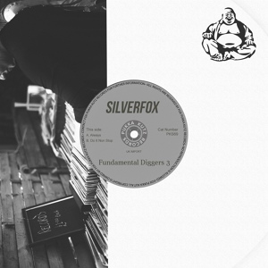 Обложка для Silverfox - Always