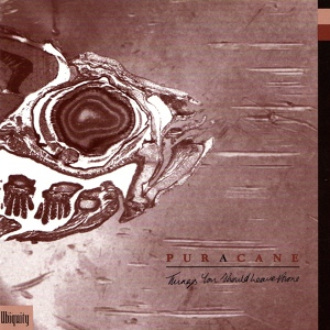 Обложка для Puracane - Anyone Else