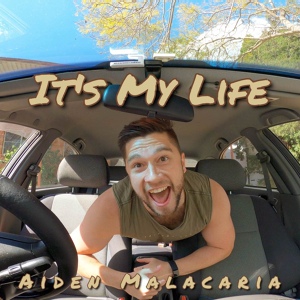 Обложка для Aiden Malacaria - It's My Life