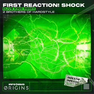 Обложка для 2 Brothers Of Hardstyle, Jimmy The Sound, Delfromad - First Reaction: Shock!