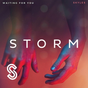 Обложка для Skyles - Waiting For You (Original Mix)