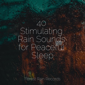 Обложка для Mother Nature Sound FX, Raindrops Sleep, Deep Sleep - Sporadic Splashes