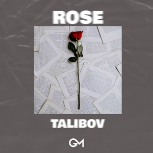 Обложка для Talibov - Rose