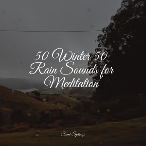 Обложка для 125 Nature Sounds, Soothing Chill Out for Insomnia, Spa Relaxation - Strong Rain