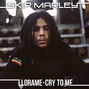 Обложка для Skip Marley - Llora Me