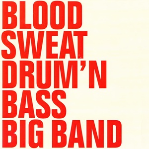 Обложка для Blood Sweat Drum + Bass - The Phrygian Axe Death