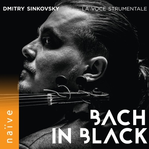 Обложка для Dmitry Sinkovsky, La Voce Strumentale - Matthäuspassion, BWV 244: No. 47, Erbarme Dich