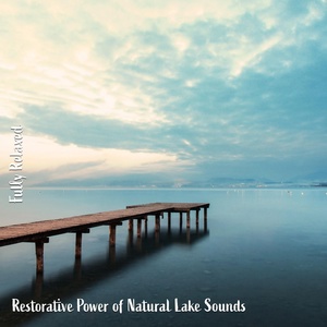 Обложка для Steve Brassel - Restorative Power of Natural Lake Sounds, Pt. 11