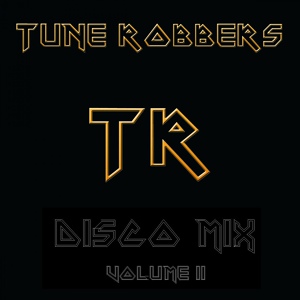 Обложка для Tune Robbers - Rhythm Of The Night