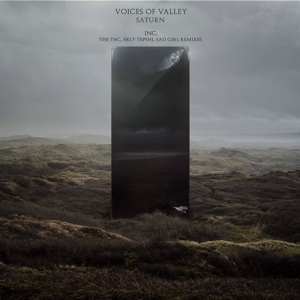 Обложка для Voices of valley - Aquila