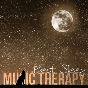 Обложка для Natural Sleep Aid Music Zone - Stress Relief (Background Music)
