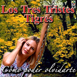 Обложка для Los Tres Tristes Tigres - Lo Qué Lleva Mi Ser