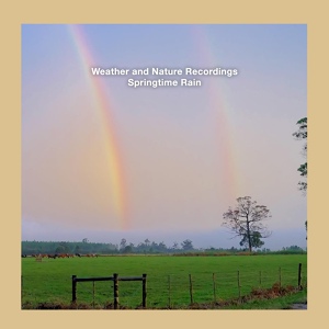 Обложка для Weather and Nature Recordings - Springtime Rain