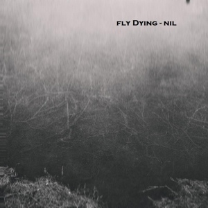 Обложка для Fly Dying - Nil