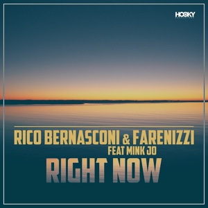 Обложка для Rico Bernasconi, Farenizzi feat. Mink Jo - Right Now