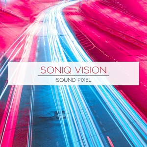 Обложка для Soniq Vision - Twisted Chicken