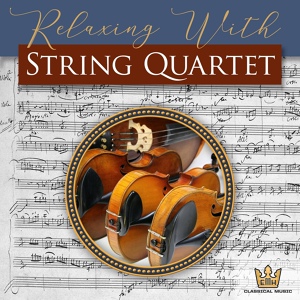 Обложка для M. Nostitz Quartet - String Quartet No. 61 in D Minor, "Fifths" Opus 76, No. 2 II. Andante