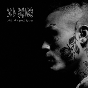 Обложка для Lil Skies - Welcome To The Rodeo