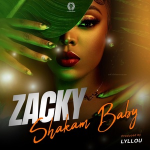 Обложка для Zacky - Shakam Baby