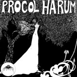 Обложка для Procol Harum - She Wandered Through the Garden Fence