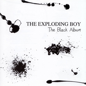 Обложка для The Exploding Boy - Torn