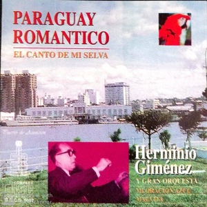 Обложка для Herminio Giménez, Gran Orquesta - Malvita