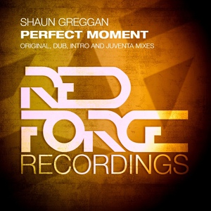 Обложка для Shaun Greggan - Perfect Moment