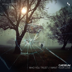 Обложка для Caeseum - Who You Trust